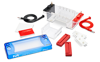 DirectLoad™ Nucleic Acid Gel Electrophoresis System DirectLoad™ Mini 和 Midi 水平凝胶电泳系统