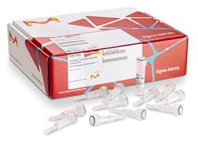 EC800 Genelute 一个标有 "SupraAlvita 无菌注射器 0.5 毫升 U-100 胰岛素 "的医疗用品包,前面散放着几个注射器和安瓿瓶。注射器和安瓿瓶都是透明塑料,带有白色活塞。