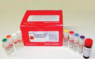 Whole Genome Amplification A red box labeled ‘AMPLIFICATION KIT’ next to several small bottles with different colored caps on a white surface in a laboratory setting.