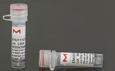 MISSION® esiRNA 图片显示的是两个透明塑料样品管,带有红色螺旋盖。每个试管顶部都有一个醒目的红色 "M "标志。