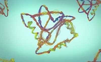 Biopharma Formulation multi colored cells Biopharma Formulation multi colored cells