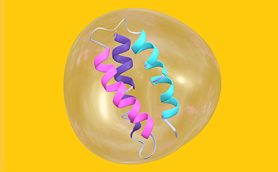 Protein in bubble on yellow background