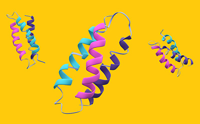 Three biomolecules floating on yellow background