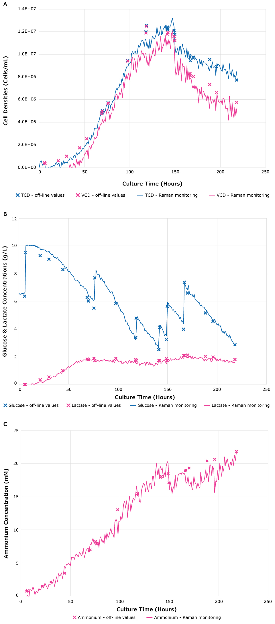Comparison of off-line measurements and real-time monitoring performed by ProCellics™ Raman Analyzer with Bio4C® PAT Raman Software of TCD and VCD, glucose, lactate, and ammonium. Comparison of off-line measurements and real-time monitoring performed by ProCellics™ Raman Analyzer with Bio4C® PAT Raman Software of TCD and VCD, glucose, lactate, and ammonium showed close alignment of results.
