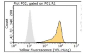 ZooMAb<sup>®</sup> flow cytometry 流式细胞术图表——对照组的黄色荧光峰值出现在101处,而另一组则出现在10<sup>3</sup>处<sup>。</sup>