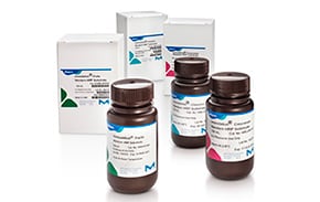 Immobilon® Forte, Crescendo, and Classico Chemiluminscent Western Blotting Substrates