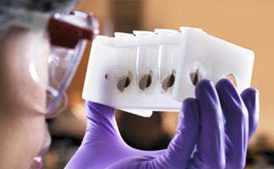 Magnetic beads for protein purification Magnetic beads for protein purification