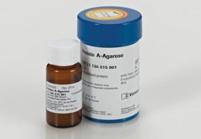 In the foreground is a small brown glass bottle with a white label marked “Protein A-Agarose". Behind this bottle is a larger blue plastic container with a white label marked “Protein A-Agarose".