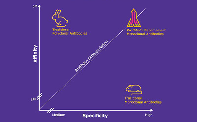 ZooMAb<sup>®</sup> Antibodies Quality Chart: The Next Revolution 一张展示不同抗体类型亲和力与特异性关系的图表:传统多克隆抗体(兔源)、重组单克隆抗体(火箭)和单克隆抗体(小鼠)。