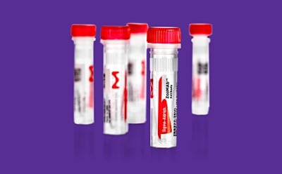 ZooMAb<sup>®</sup> antibody multipack 五管 ZooMAb® 抗体