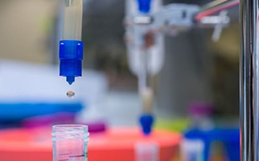 Close-up photograph of a protein purification column containing chromatography resin on a ring stand, with elution into a 15-mL conical tube