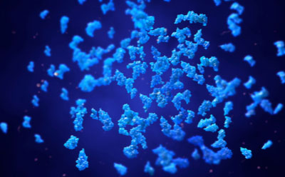 Cell fractionation and protein enrichment in proteomics research