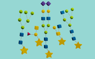 Analyze Step of Glycobiology Workflows 糖生物学工作流程的分析步骤,描绘带有标签的连接糖结构,以便分析。