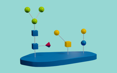 Release Step of Glycobiology Workflows 糖生物学工作流程的释放步骤,描绘 N-聚糖和 O-聚糖结构。