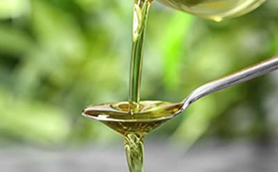 A golden stream of olive oil is being poured into a reflective silver spoon against a backdrop of lush greenery, capturing the oil’s purity and the natural essence of its origin.