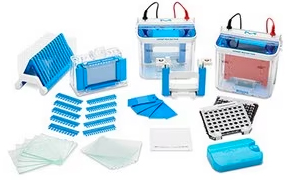 蛋白凝胶电泳和转印设备 mPAGE® 微型胶槽、制胶器、晾干架、玻璃板、胶梳等凝胶电泳设备