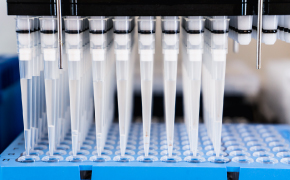 Lead discovery Laboratory researcher using a pipette to transfer liquid into a sample tube, representing biochemical workflows in lead discovery.