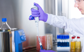 Microbial Culture Media Large, brown solvent bottle with Supelco® branded label is opened by a lab worker wearing blue nitrile gloves. Only the hands and lower arms of the worker are shown. One small brown solvent bottle and two small white bottles can be seen in the background.