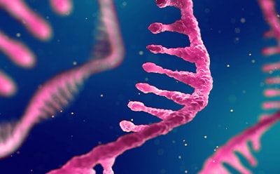 3D illustration of pink mRNA strand​