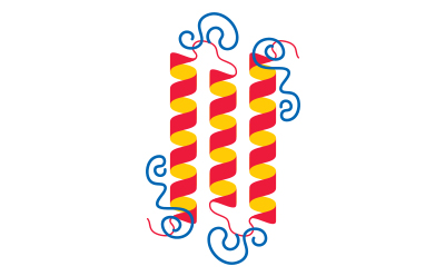 PEG chains conjugated to the protein’s helical domain form a flexible, hydrated corona that increases steric shielding, enhances solubility, and reduces aggregation. Diagram of three parallel α helices coated with flexible PEG chains forming a hydrated steric shield around the protein structure.