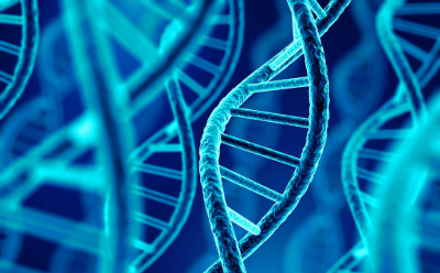 DNA strand DNA double helix on a blue background.