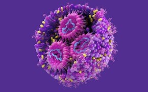 LNP幻灯片标题 脂质纳米颗粒(内部由不同的脂质和 mRNA 组成)背景