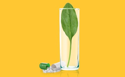 API & Folate Portfolio