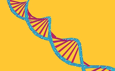 Ultra Pure Portfolio A stylized representation of a DNA double helix with blue strands and red rungs, set against a bright yellow background.