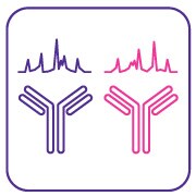 mAb interlot and biosimilar comparability Monoclonal antibody (mAb) based assay packages to determine interlot and biosimilar comparability