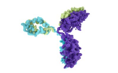 mAb Product Characterization