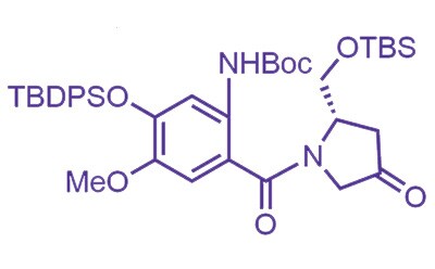Advanced PBD Intermediate Chemical structure of PBDCore™