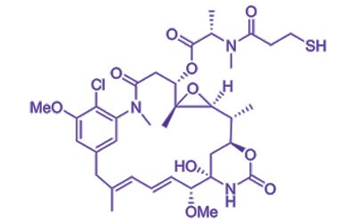 DM1 cGMP quality payload for your drug conjugate programs Chemical structure of DM1 (CAS 139504-50-0)