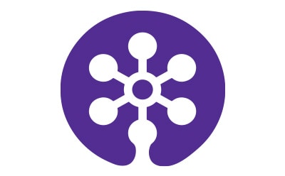 代表SYNTHIA™软件的新创意的星形图标。
