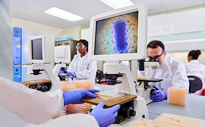 Genetic Stability Testing Genetic Stability Testing