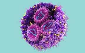 mRNA/LNP的三维示意图