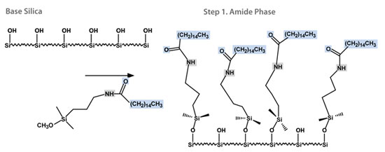 Next Generation One-step Bonding Process for EPG Amide Phases
