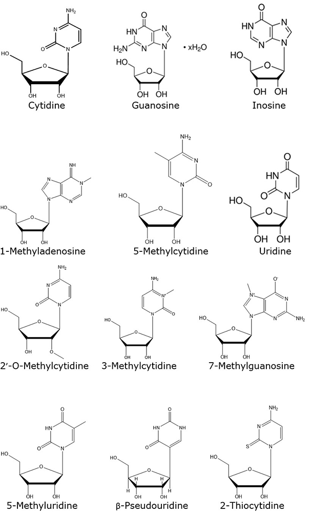 Chemical structures of nucleosides 2-D chemical structures (Bond line structure) of nucleosides used in the study to resolve 12 nucleosides by Ultra high performance liquid chromatography (UHPLC)