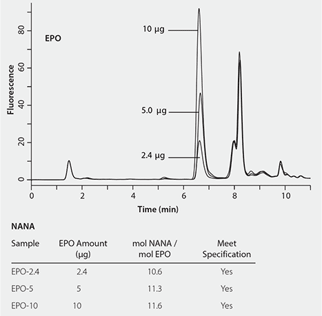 Graphical representation of the determination of sialic acids in Erythropoietin (EPO) samples. The image shows a chromatogram with a y-axis labeled ‘Fluorescence’ and an x-axis labeled ‘Time (min).’ Three peaks are visible, corresponding to different amounts of EPO: 2.4 µg, 5.0 µg, and 10 µg, with the highest peak at the 10 µg mark. Below the graph is a table titled ‘Sample’ with three rows for EPO-2.4, EPO-5, and EPO-10. Columns include ‘EPO Amount (µg),’ ‘mol NANA / mol EPO,’ and ‘Meet Specification,’ all entries in the last column read ‘Yes.’ Graphical representation of the determination of sialic acids in Erythropoietin (EPO) samples. The image shows a chromatogram with a y-axis labeled ‘Fluorescence’ and an x-axis labeled ‘Time (min).’ Three peaks are visible, corresponding to different amounts of EPO: 2.4 µg, 5.0 µg, and 10 µg, with the highest peak at the 10 µg mark. Below the graph is a table titled ‘Sample’ with three rows for EPO-2.4, EPO-5, and EPO-10. Columns include ‘EPO Amount (µg),’ ‘mol NANA / mol EPO,’ and ‘Meet Specification,’ all entries in the last column read ‘Yes.’
