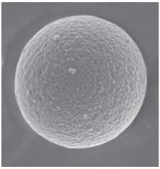 Microscopic view of porous graphitic carbon (PGC) particle
