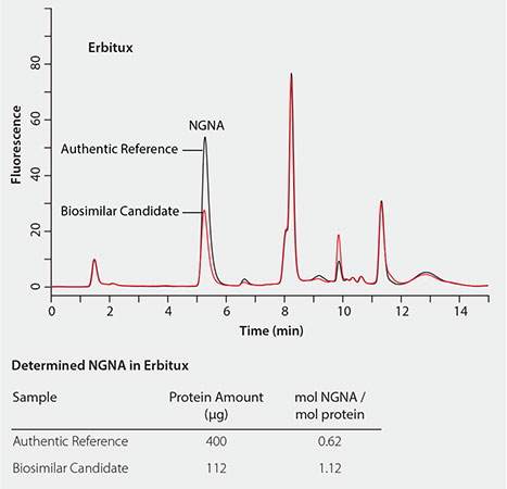 Graphical representation of NGNA content comparison between Erbitux and its biosimilar candidate. The graph displays two overlaid chromatograms with peaks indicating NGNA levels. The ‘Erbitux’ chromatogram shows higher peaks compared to the ‘Biosimilar Candidate,’ suggesting a quantitative difference in NGNA content. Below the graph, a table titled ‘Determined NGNA in Erbitux’ lists the sample, protein amount, and mol NGNA/mol protein ratios for both Erbitux and the biosimilar candidate. Graphical representation of NGNA content comparison between Erbitux and its biosimilar candidate. The graph displays two overlaid chromatograms with peaks indicating NGNA levels. The ‘Erbitux’ chromatogram shows higher peaks compared to the ‘Biosimilar Candidate,’ suggesting a quantitative difference in NGNA content. Below the graph, a table titled ‘Determined NGNA in Erbitux’ lists the sample, protein amount, and mol NGNA/mol protein ratios for both Erbitux and the biosimilar candidate.