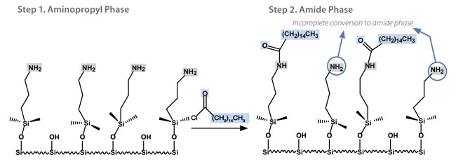 Early Generation Two-step Bonding Process for EPG Amide Phases