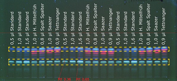 Figure 1a: Detection of aromatic hop at 366 nm