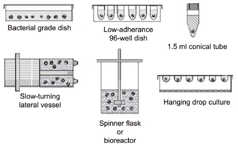 Some of the many methods used to generate embryoid bodies. Some of the many methods used to generate embryoid bodies.