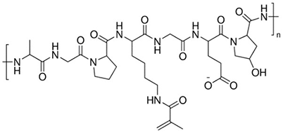 甲基丙烯酰胺明胶 甲基丙烯酰胺明胶