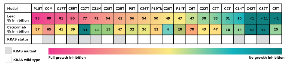 Heatmap showing growth inhibition on various CRC cell lines when exposed to the lead compound, with more growth inhibition across cell lines than cetuximab.