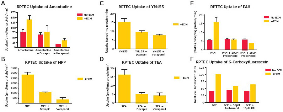 SA7K transporter function assays. SA7K transporter function assays. Assays were performed in 24-well plates with or without ECM. Inhibitors were pre-incubated for 10 minutes before adding substrates. After incubating for 10 minutes, uptake was measured by LC-MS/MS.