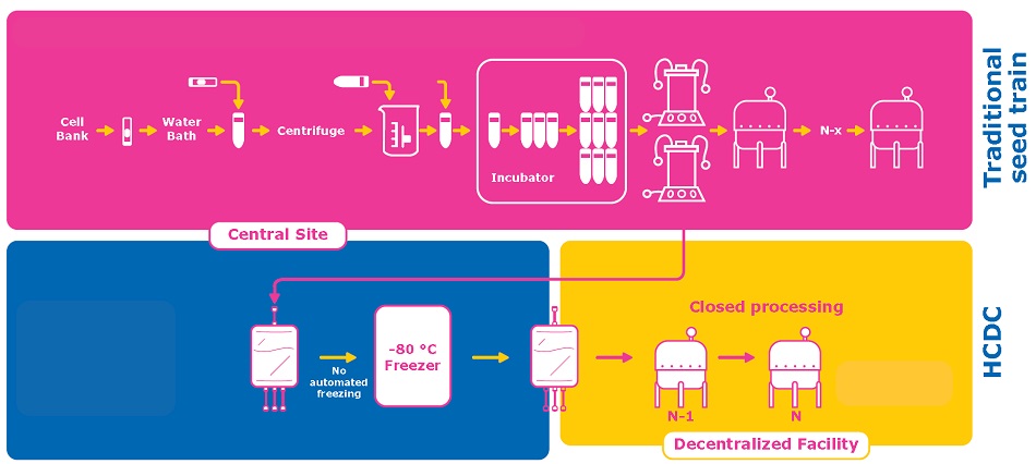 Traditional seed train process vs. High cell density cryopreservation