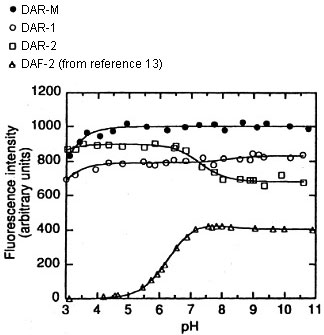 Fluorescence Intensity Graph