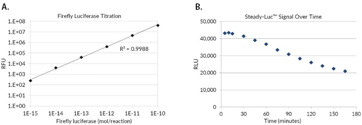 Titration of recombinant firefly luciferase in the firefly luciferase assay. A) Recombinant luciferase was serially diluted in 1X Firefly Lysis Buffer with 1 Mg/mL BSA and measured in the assay. B) The Firefly Luciferase HTS Assay is a steady-glow high sensitivity firefly luciferase reporter gene assay kit for the quantification of firefly luciferase expression in mammalian cells with signal half-life of about 3 hours. Titration of recombinant firefly luciferase in the firefly luciferase assay. A) Recombinant luciferase was serially diluted in 1X Firefly Lysis Buffer with 1 Mg/mL BSA and measured in the assay. B) The Firefly Luciferase HTS Assay is a steady-glow high sensitivity firefly luciferase reporter gene assay kit for the quantification of firefly luciferase expression in mammalian cells with signal half-life of about 3 hours.