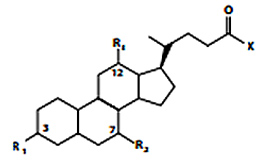 structural-overview Structural Overview of Bile Acids and Conjugated Salts with Corresponding m/z Values